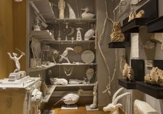 Mark Dion: The Lost Museum