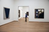 Laura Lima Tailorshop/Portraits 2014 fabric, threa...