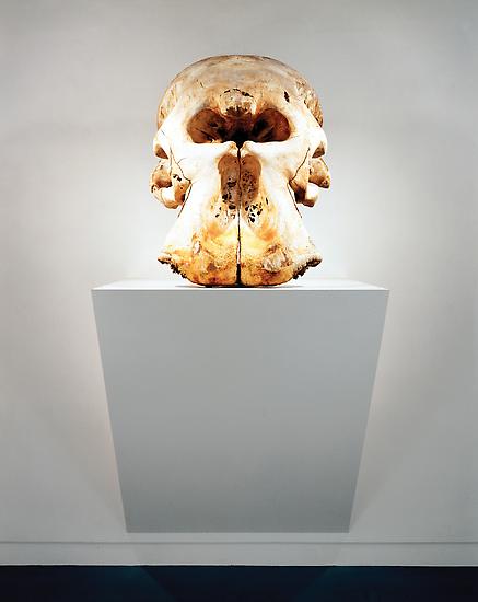 Haim Steinbach Untitled (elephant footstools, elep...