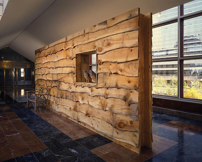 Haim Steinbach Display #23 - Adirondack tableau 19...