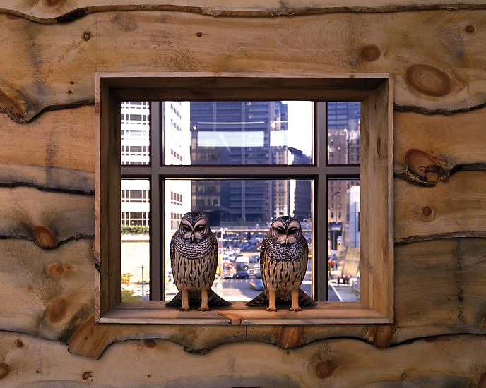 Haim Steinbach Display #23 - Adirondack tableau 19...