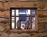 Haim Steinbach Display #23 - Adirondack tableau 19...