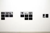 Lisa Oppenheim Killed Negatives: After Walker Evan...