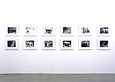 Mark DION Polar Bear (Ursus Maritimus) (III) 1994...