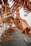 Laura Lima Flight 2008 50 live birds, food, water,...
