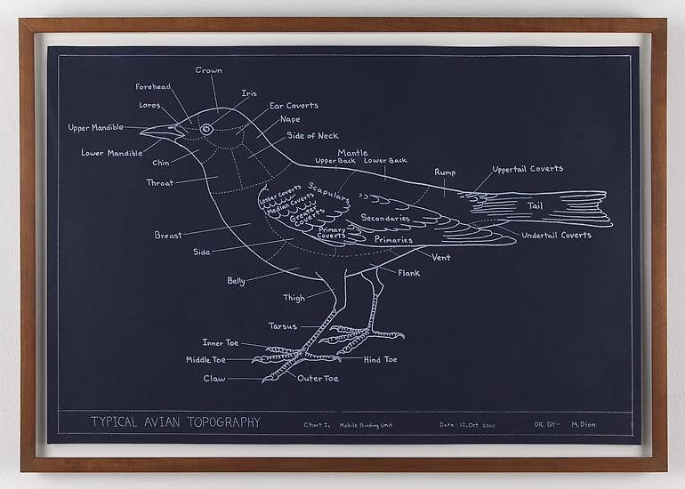 Mark DION Typical Avian Topography/Chart I 2000 si...