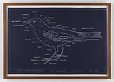 Mark DION Typical Avian Topography/Chart I 2000 si...