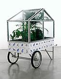 Mark DION Mobile Bio Type - Jungle 2002 log, soil,...