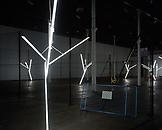 Installation view Our Love is Like the Flowers, th...