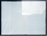 Sabine HORNIG Radikal Reduziert 2004 C-print mount...