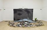 Mark Dion Ichthyosaurus 2003 Synthetic Ichthyosaur...