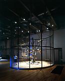 Mark DION Library for the Birds of Massachusetts 2...