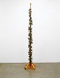 Siobhán HAPASKA Fifteen hundred ways not to...