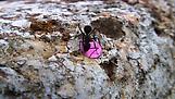 Rivane Neuenschwander Made in collaboration with C...