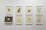 Mark DION Herbarium 2007-2011 Hand painted acrylic...