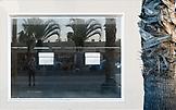 Sabine HORNIG Fenster mit Palme / Window with Palm...