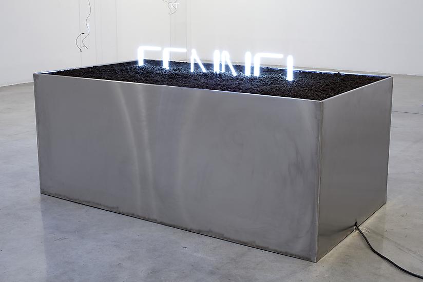 Jack Strange Fennel 2011 neon, soil, stainless ste...