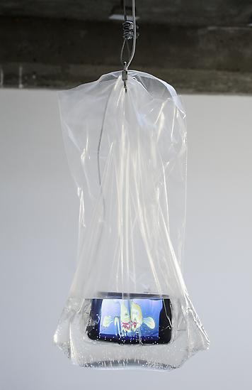 Jack Strange All Fish 2011 ipod touch, plastic bag...