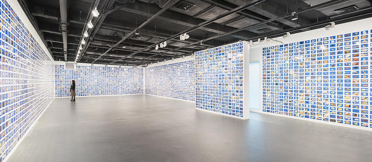 Installation view, Liu Shiyuan: As Simpl...