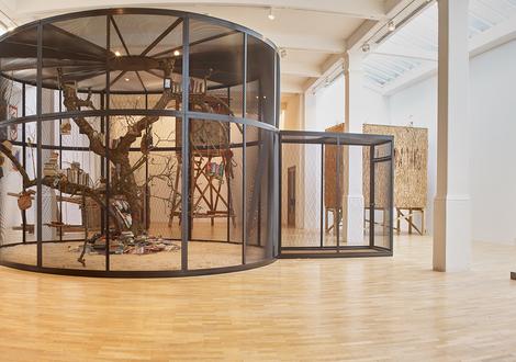 Mark Dion: Theatre of the Natural World