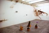 Laura Lima Flight 2008 50 live birds, food, water,...