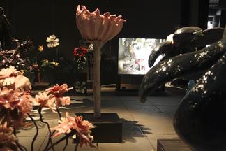Nathalie Djurberg & Hans Berg The Experiment...
