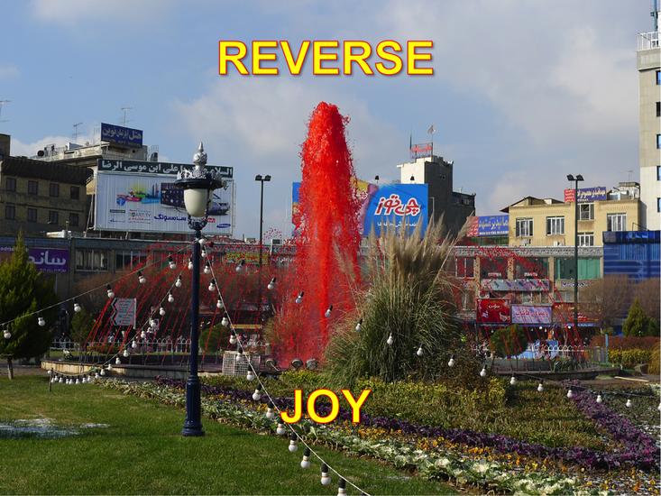 Reverse Joy, lecture-performance, 50 min. A readin...