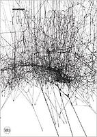 Tomás Saraceno – 14 Billions (Working Title)