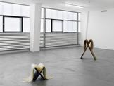 Mirrors for Princes (installation view), Kunsthall...