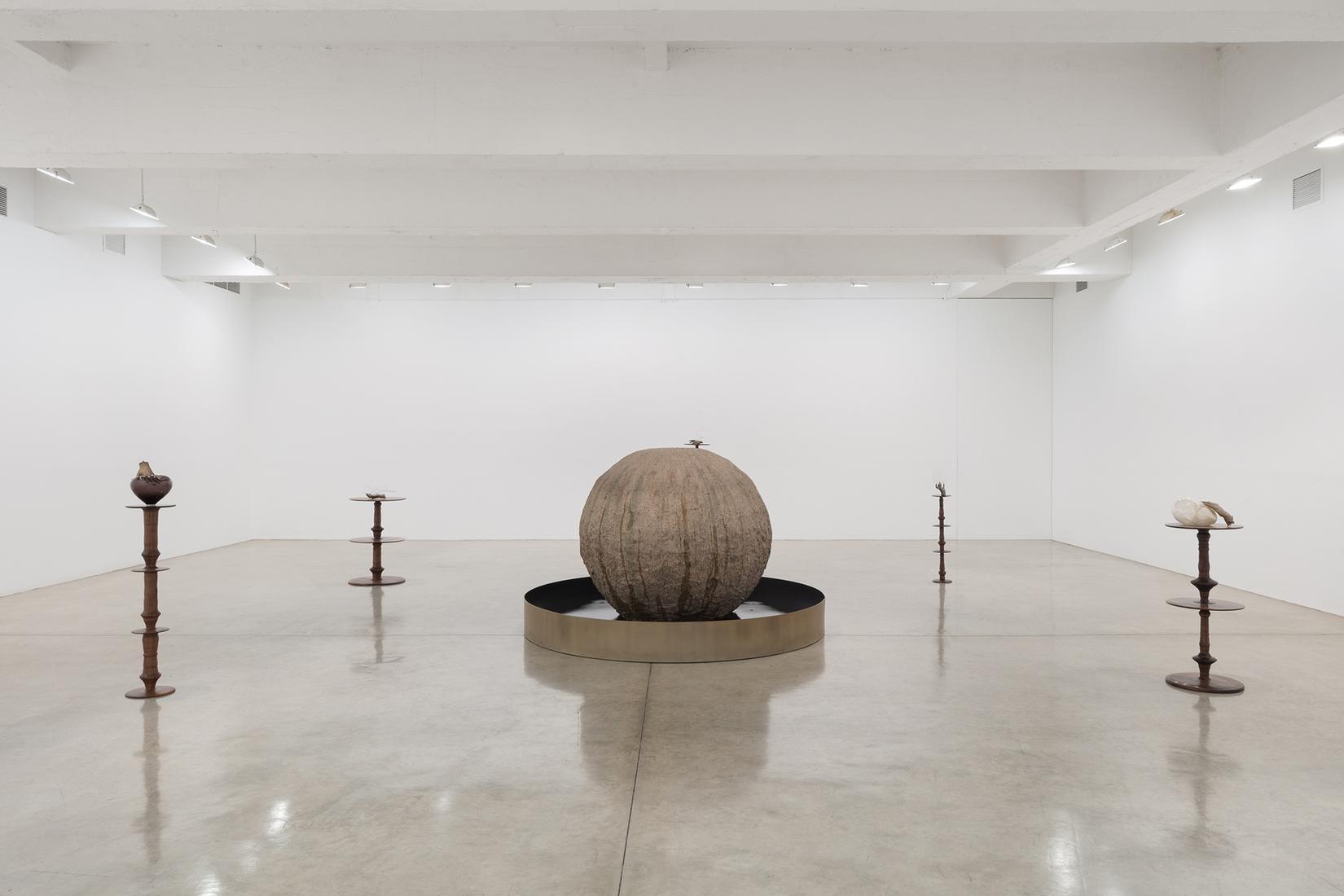 This is an installation image of Kelly Akashi exhi...