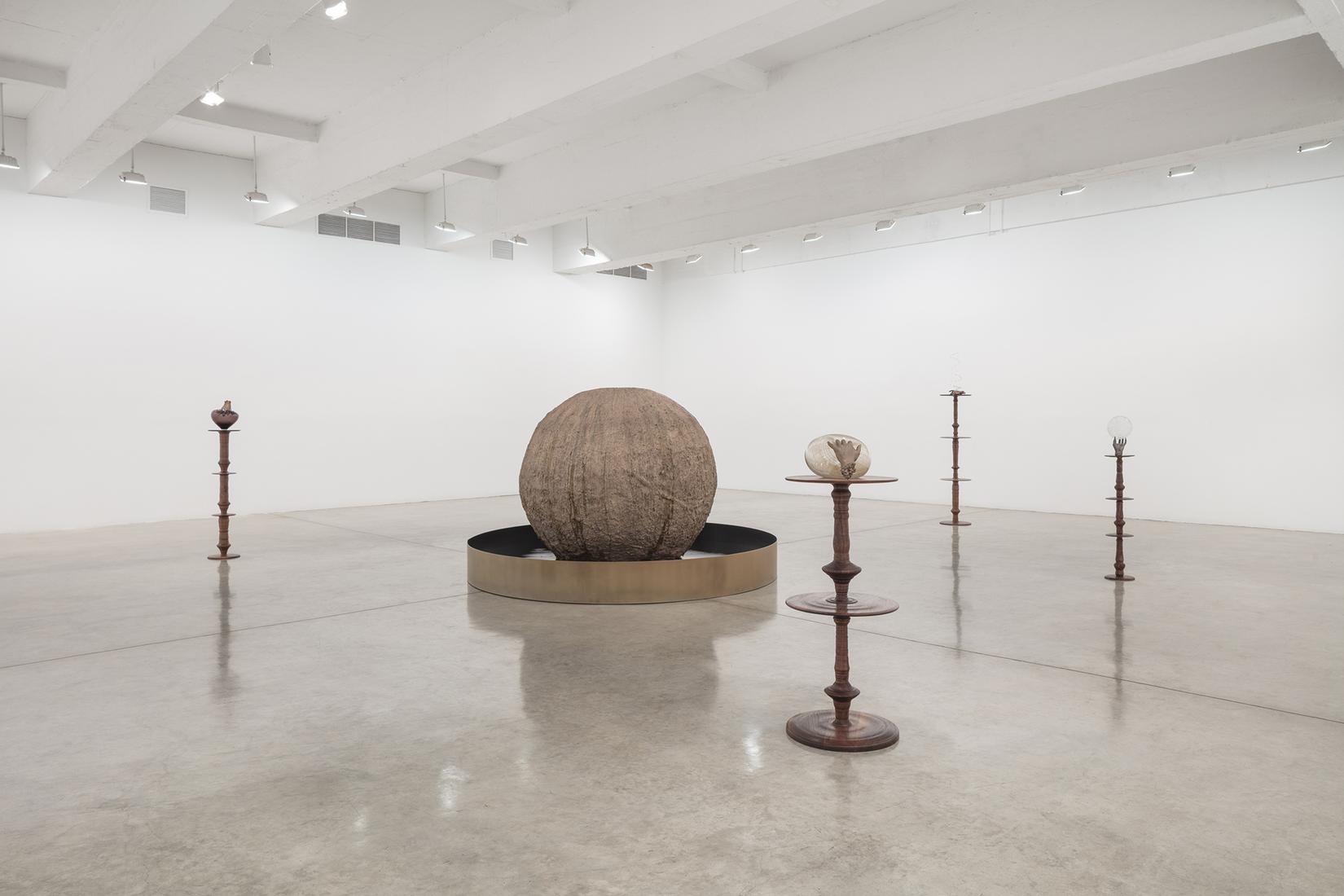 This is an installation image of Kelly Akashi exhi...