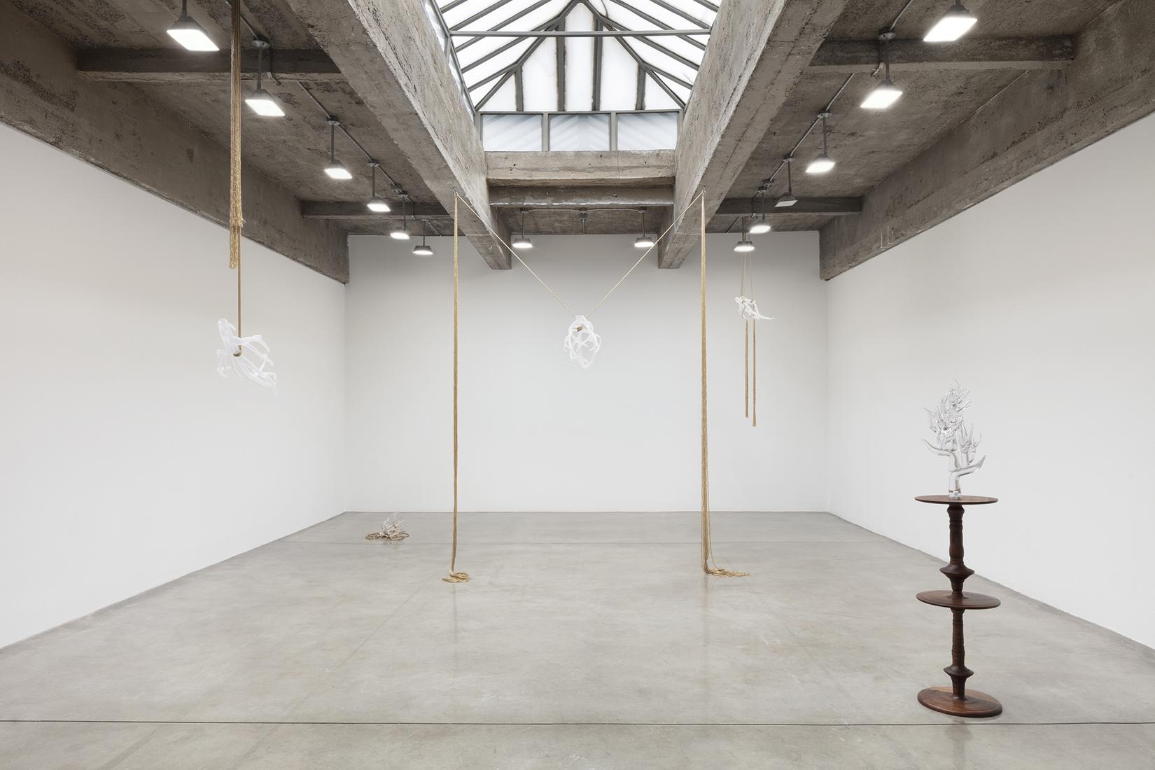 This is an installation image of Kelly Akashi exhi...