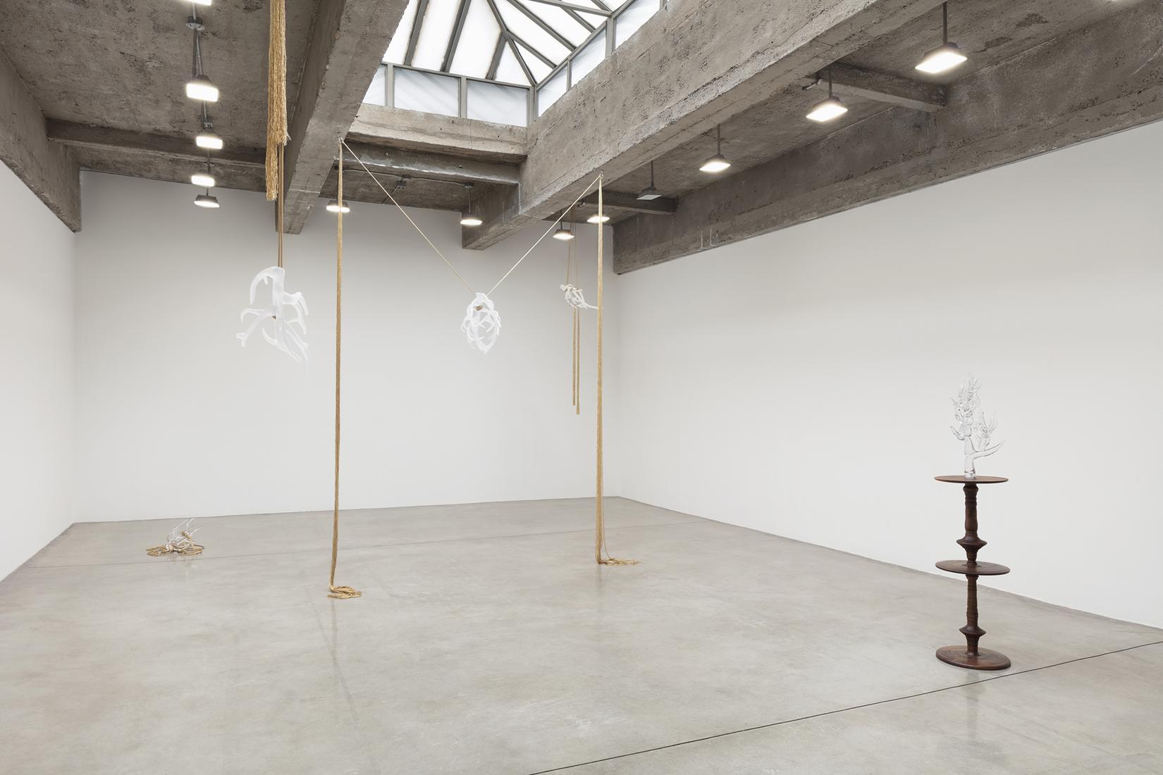 This is an installation image of Kelly Akashi exhi...