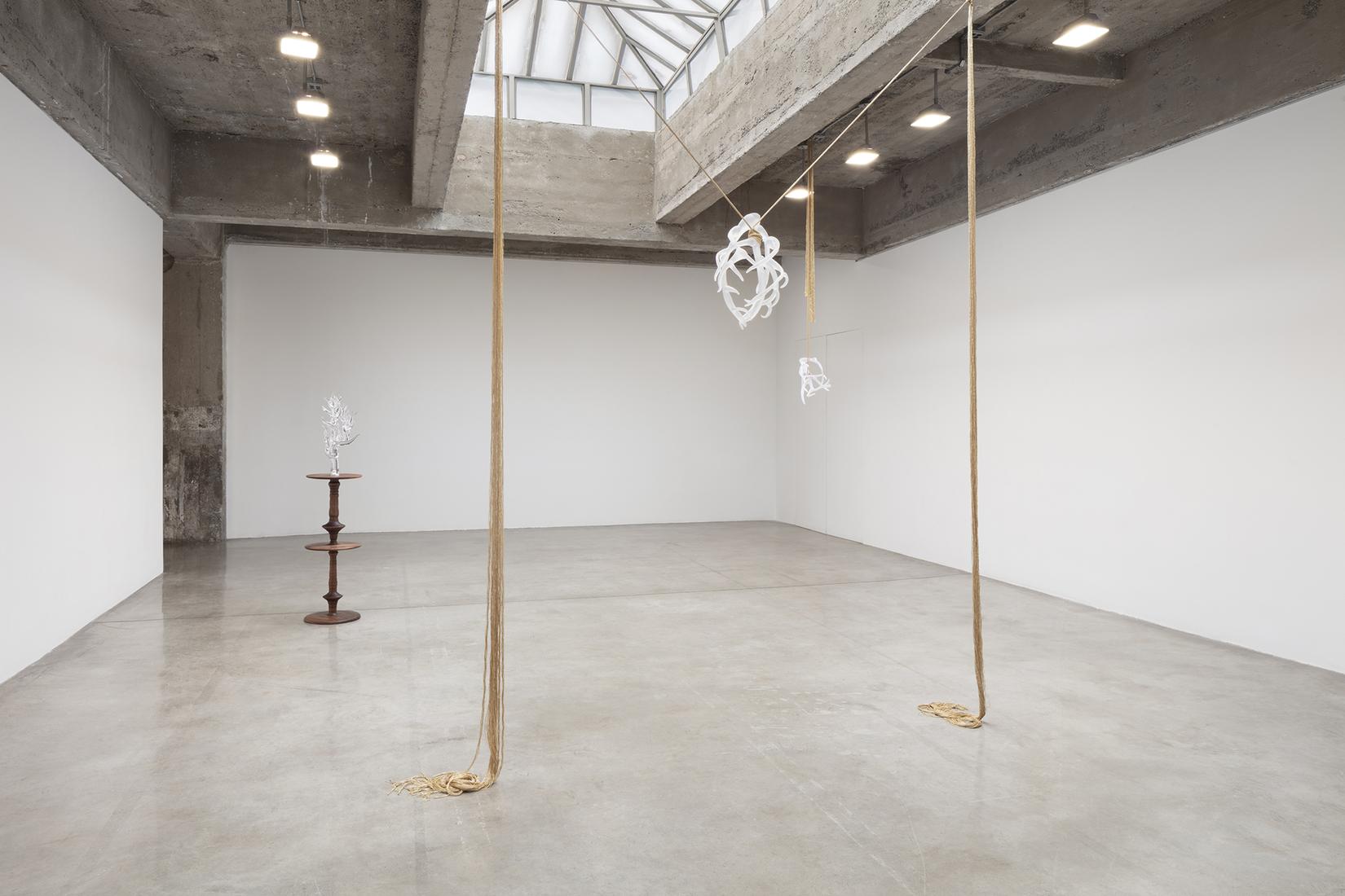 This is an installation image of Kelly Akashi exhi...