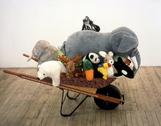 Mark DION Survival of the Cutest, (Who gets on the...