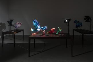 Nathalie Djurberg & Hans Berg A Thief Caught...