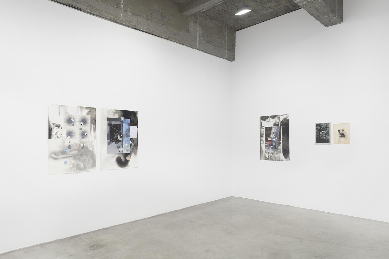 DIRK STEWEN: Transition - Exhibitions
