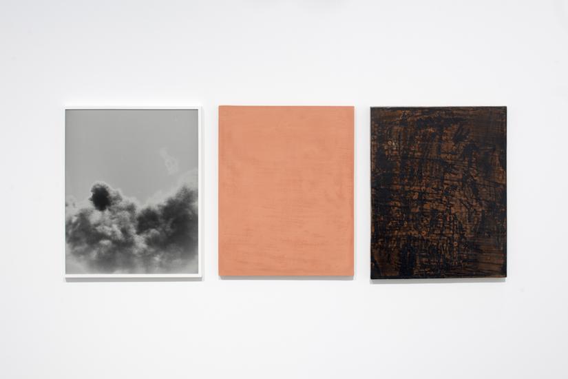 “Lisa Oppenheim: Hereditary Language,”...