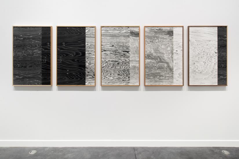 “Lisa Oppenheim: Hereditary Language,”...