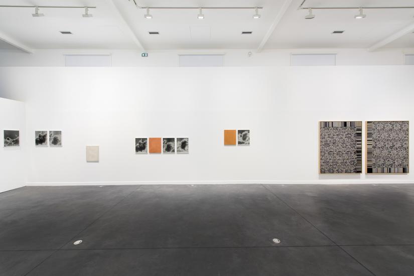 “Lisa Oppenheim: Hereditary Language,”...