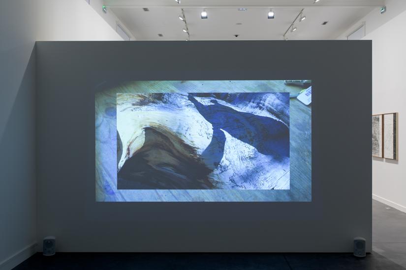“Lisa Oppenheim: Hereditary Language,”...