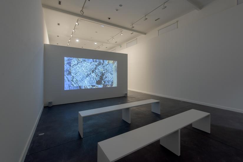 “Lisa Oppenheim: Hereditary Language,”...