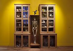 Mark Dion: The Macabre Treasury