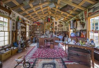 Mark Dion Virginia Curiosity Shop 2017 Assemblage...