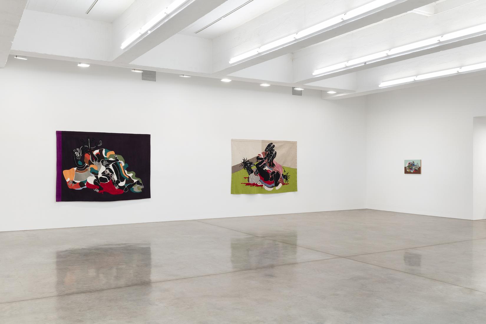 This is an installation image of Rivane Neuenschwa...
