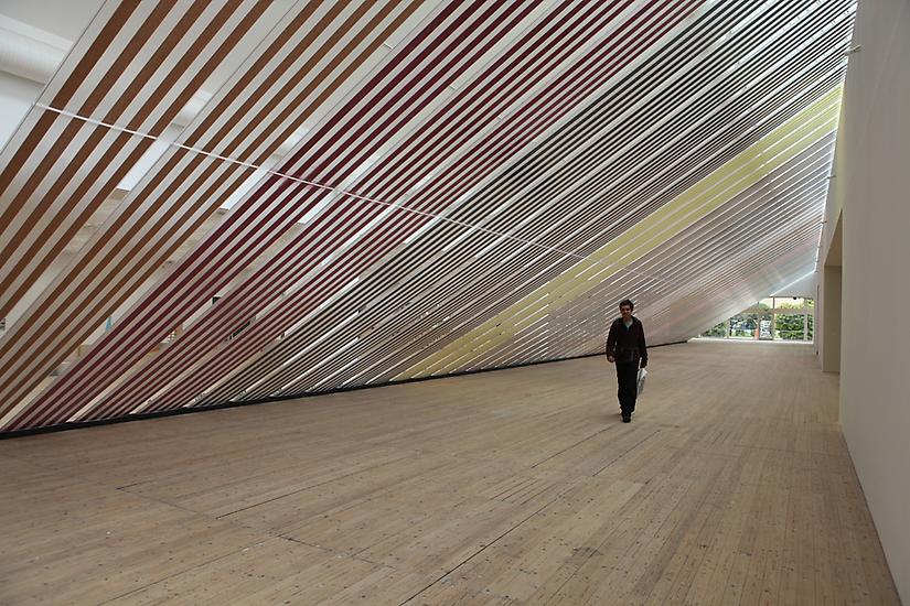 Rivane Neuenschwander Palatable Digressions, 2010...