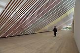 Rivane Neuenschwander Palatable Digressions, 2010...