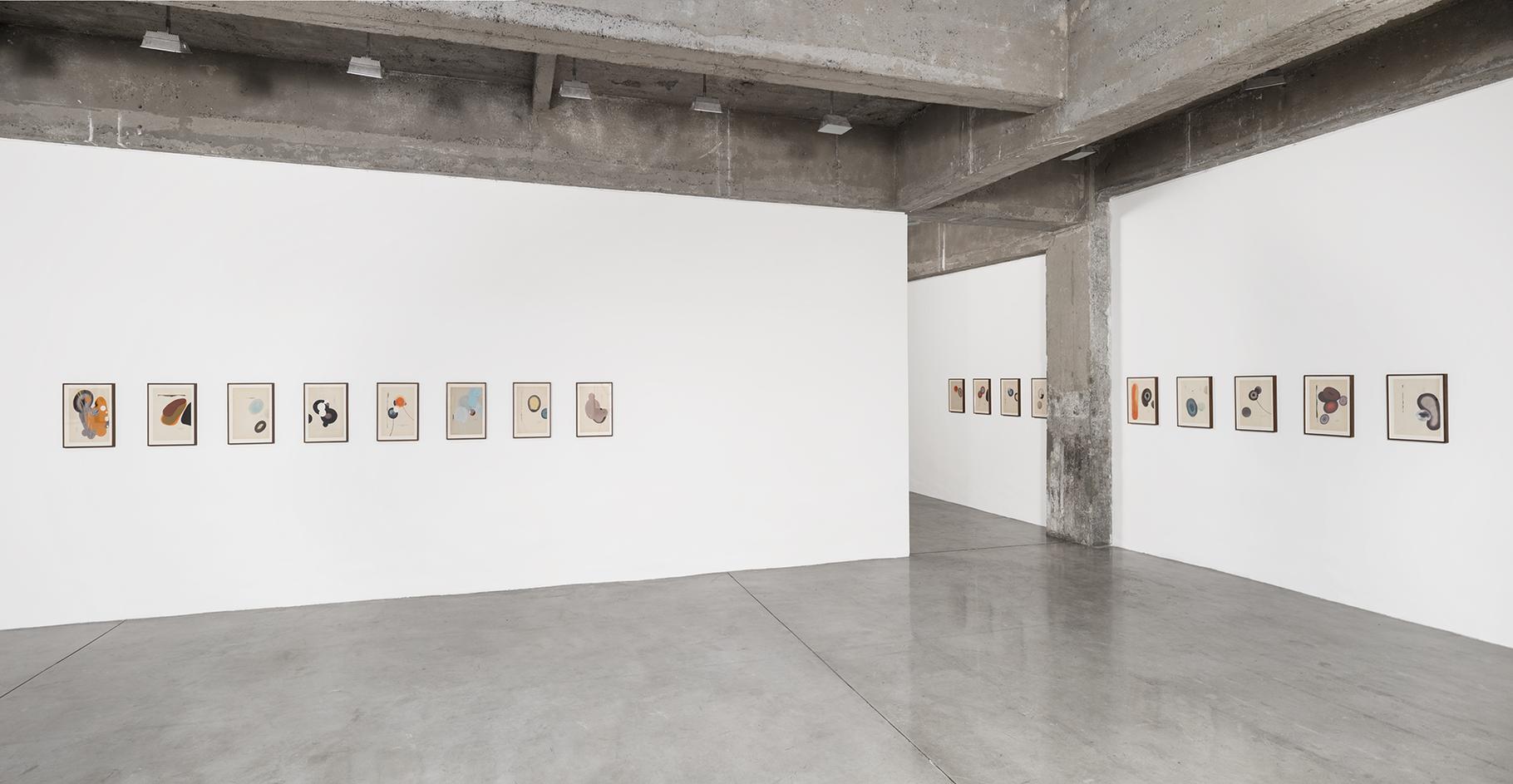 DIRK STEWEN: Transition - Exhibitions