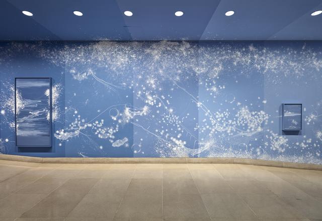 This is an installation image of Sandra Cinto's La...