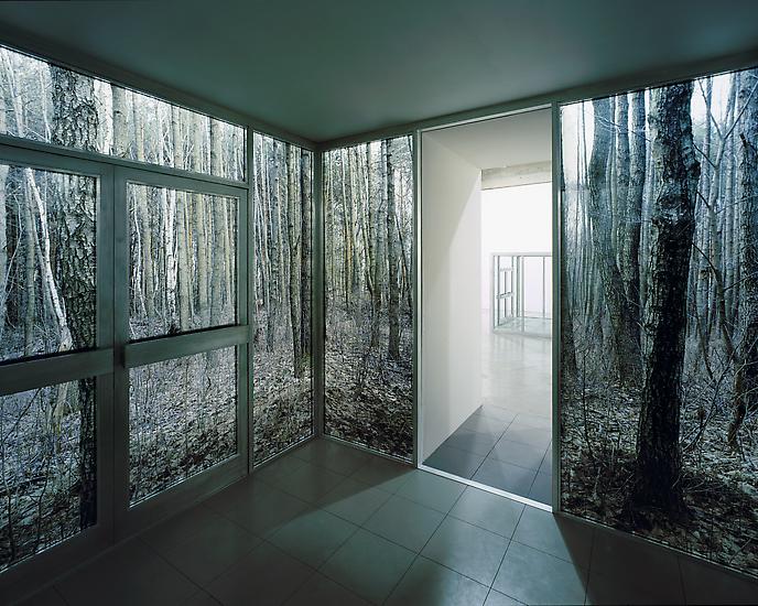 Sabine HORNIG Large Cube in Forest 2004 Transparen...
